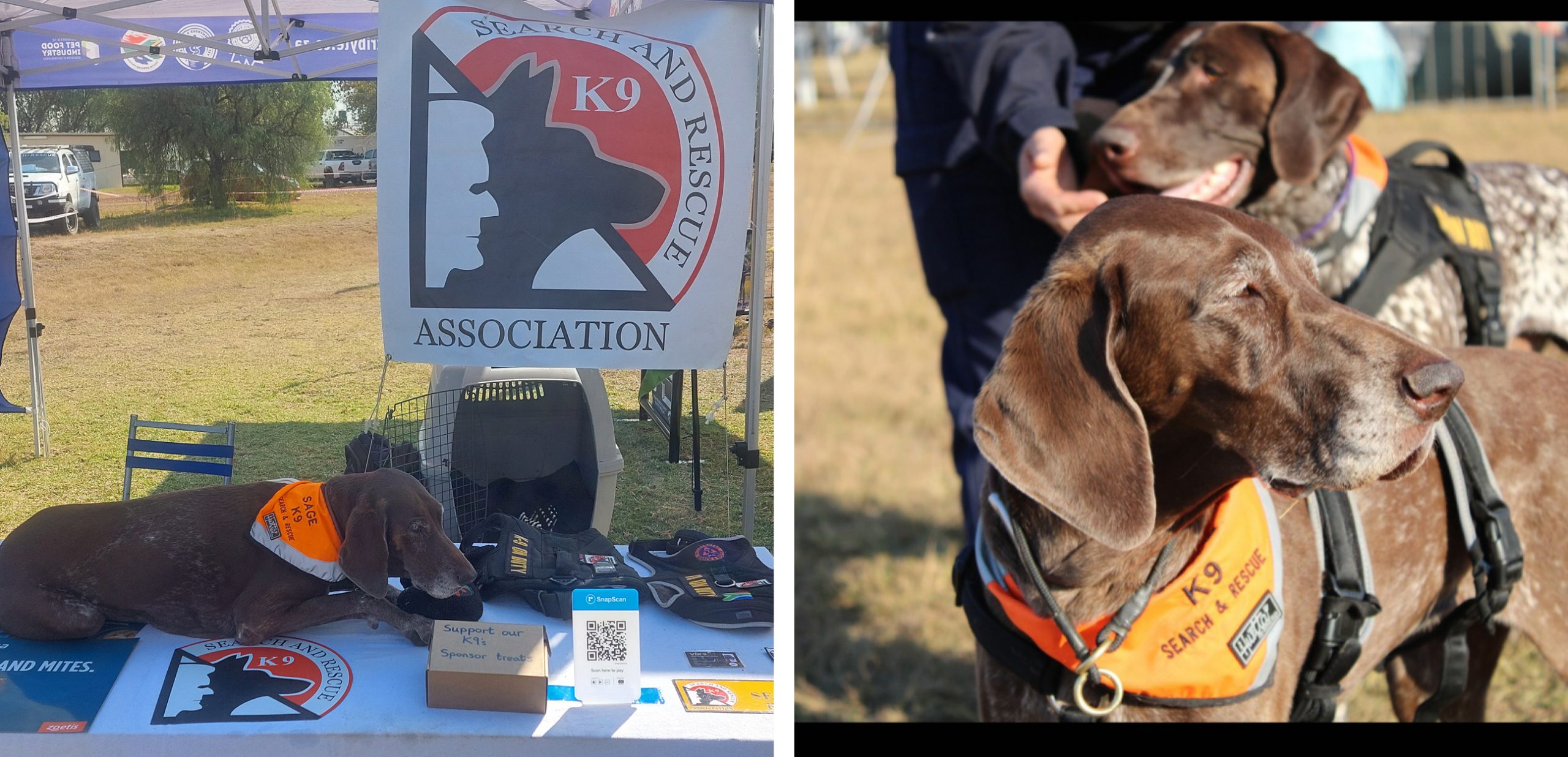 K9 SARA Newsletter